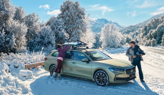 Škoda wintercheck